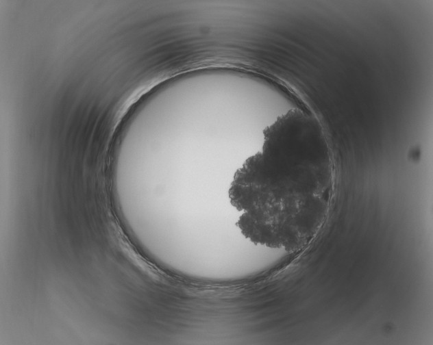 X0000116121026201001040946