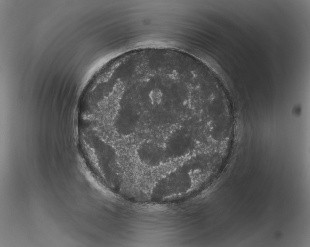 X0000116121030201001040946
