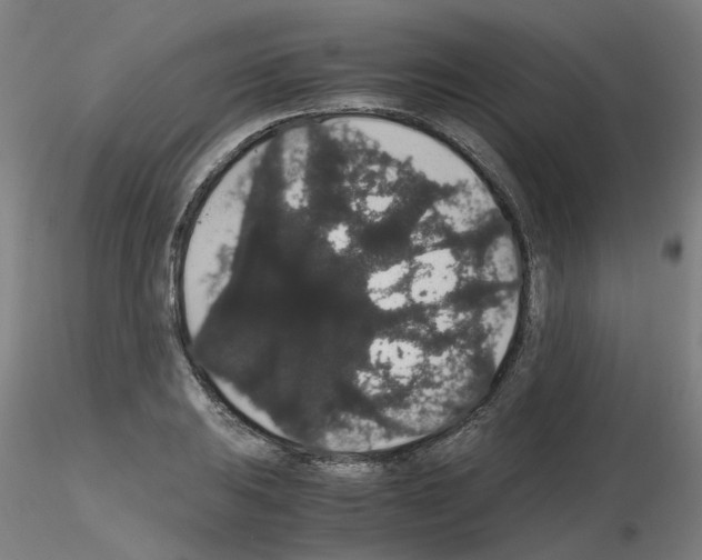 X0000116121031201001040946
