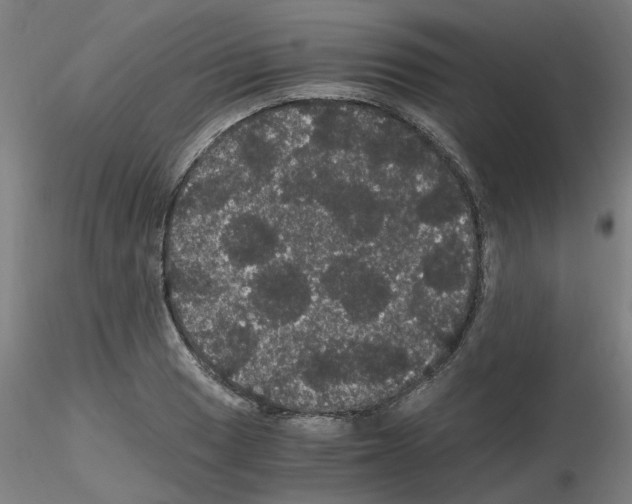 X0000116121033201001040946