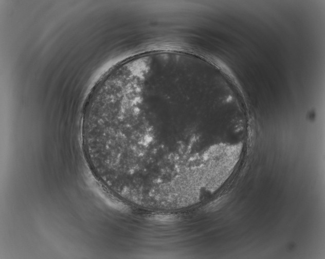X0000116121035201001040946