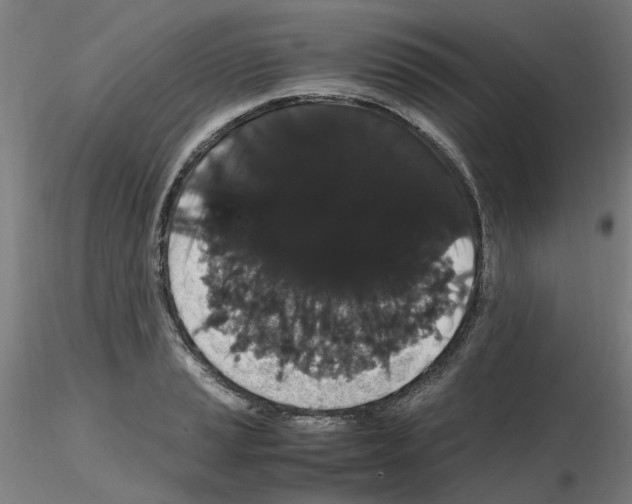 X0000116121037201001040946