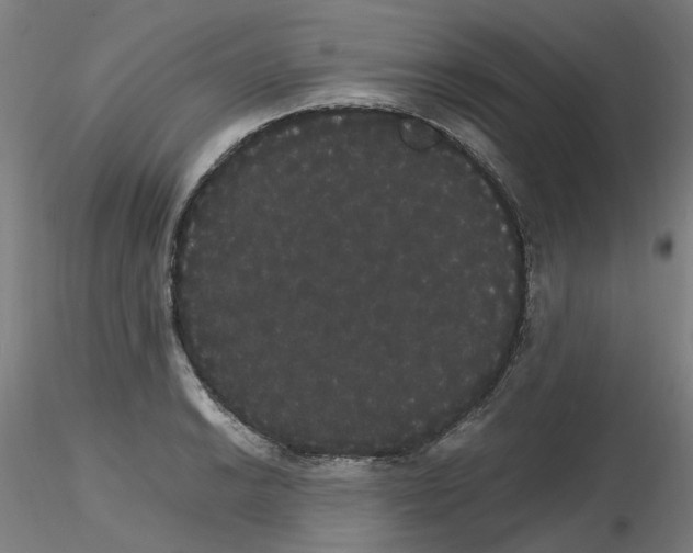 X0000116121038201001040946