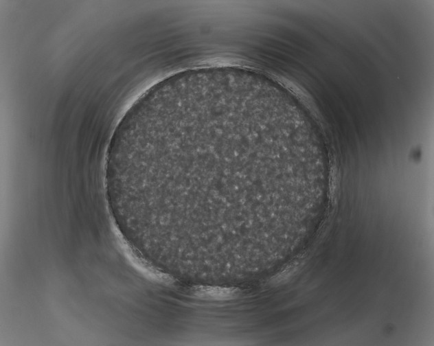 X0000116121039201001040946