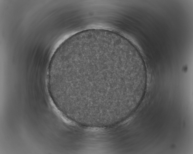 X0000116121040201001040946