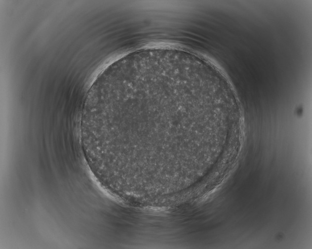 X0000116121041201001040946