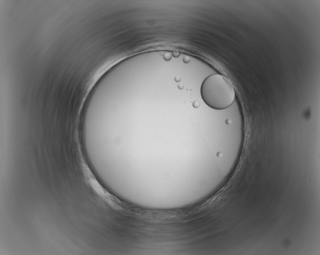 X0000116121042201001040946
