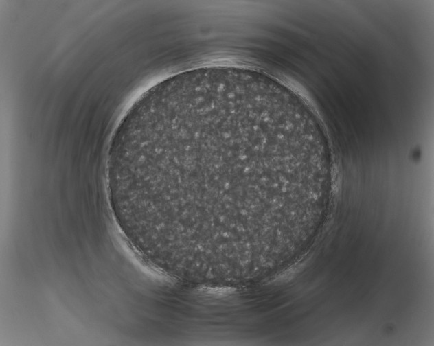 X0000116121043201001040946