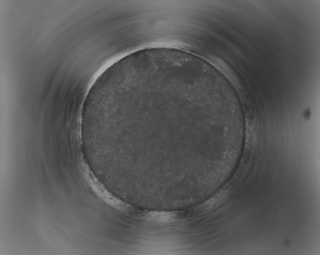 X0000116121044201001040946