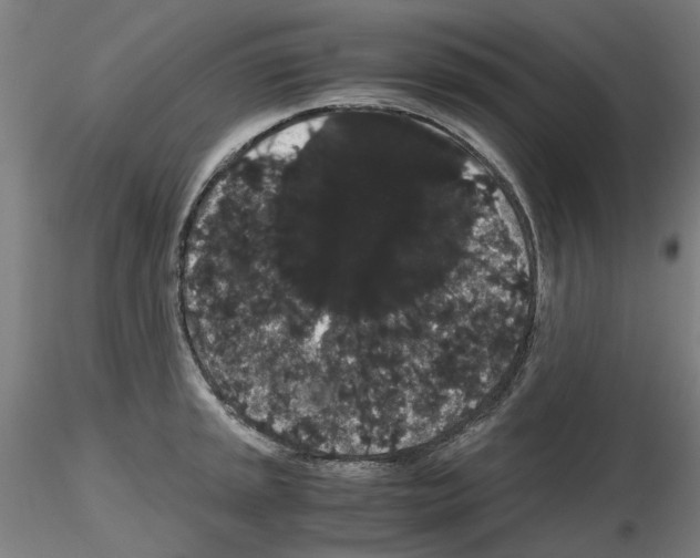 X0000116121045201001040946