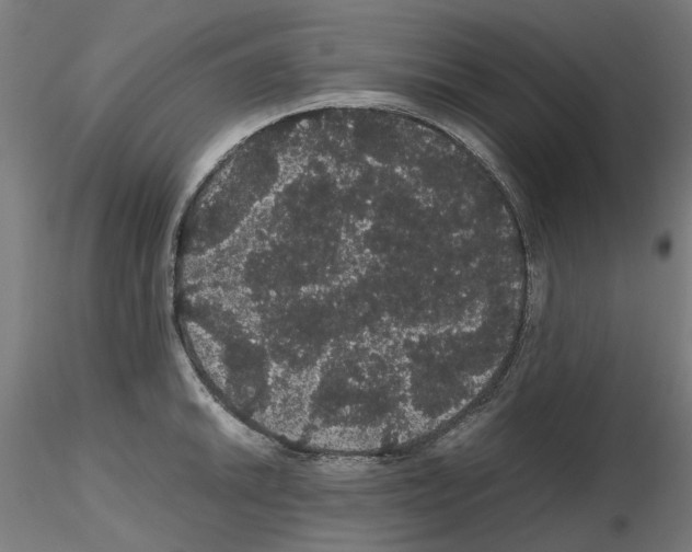 X0000116121046201001040946