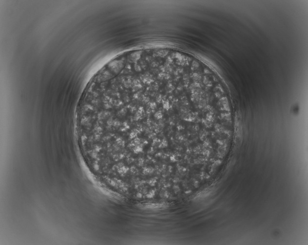X0000116121047201001040946