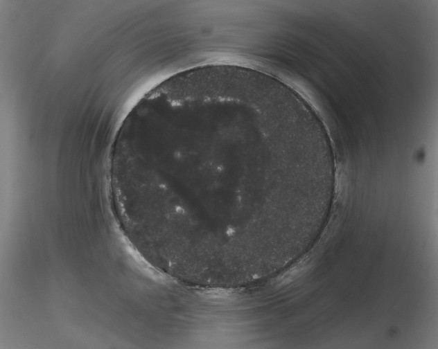X0000116121048201001040946