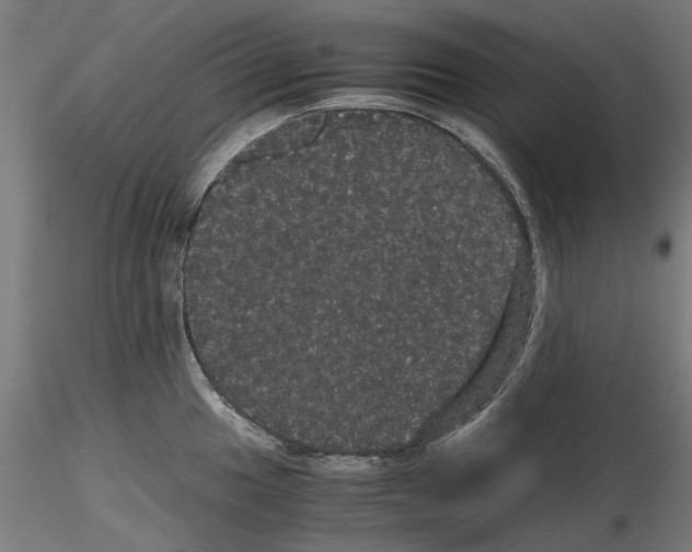 X0000116121049201001040946