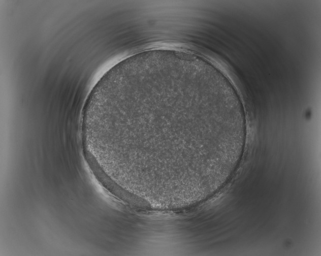 X0000116121050201001040946
