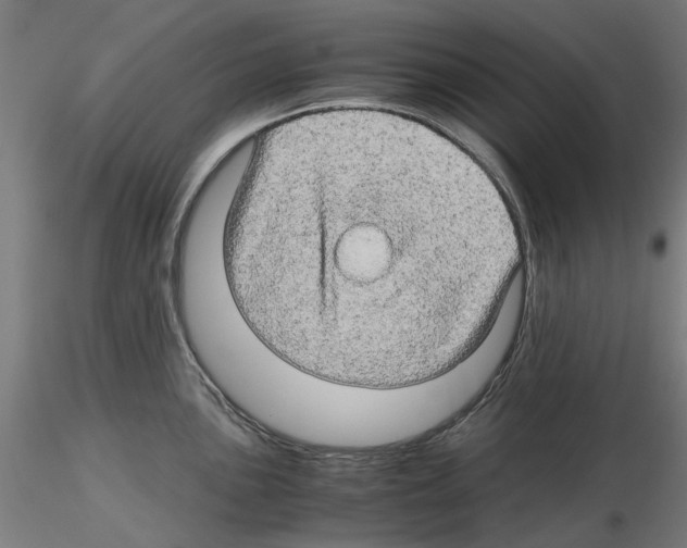 X0000116121051201001040946