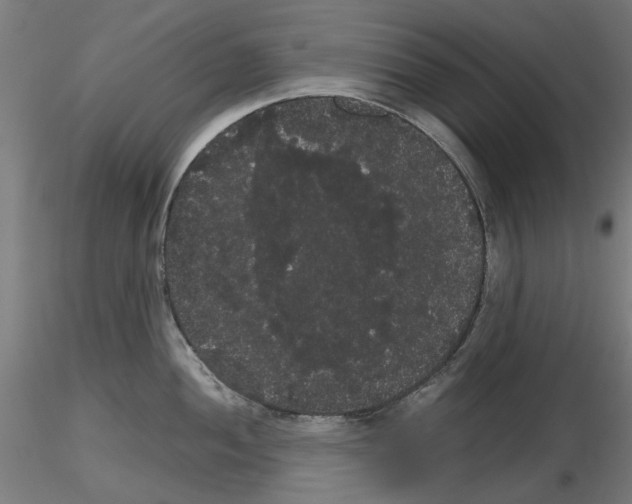 X0000116121052201001040946