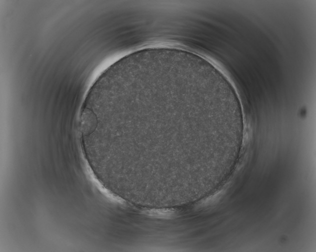 X0000116121053201001040946