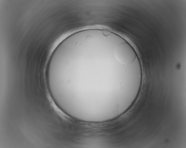 X0000116121054201001040946