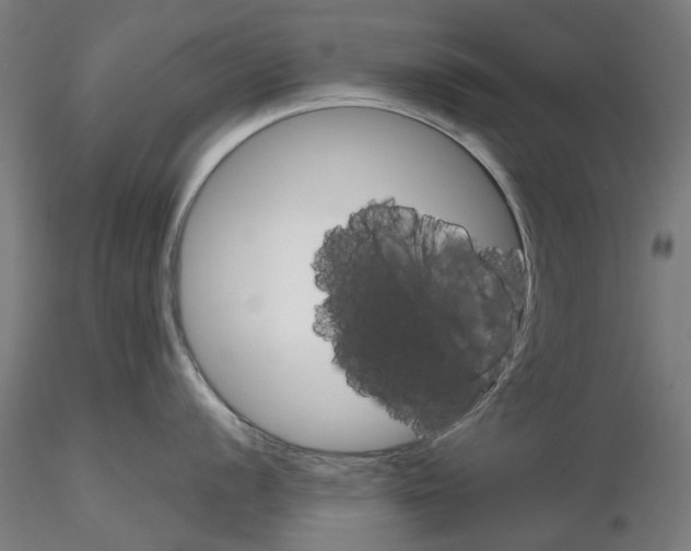X0000116121056201001040946