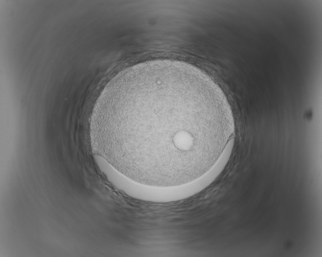 X0000116121057201001040946