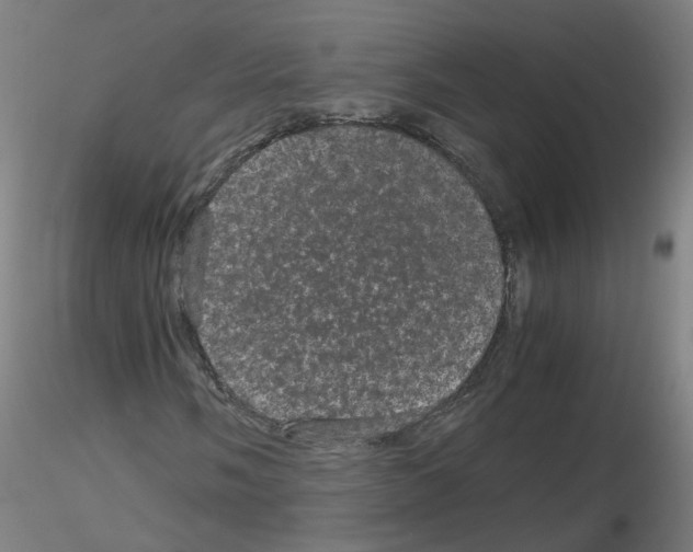 X0000116121058201001040946