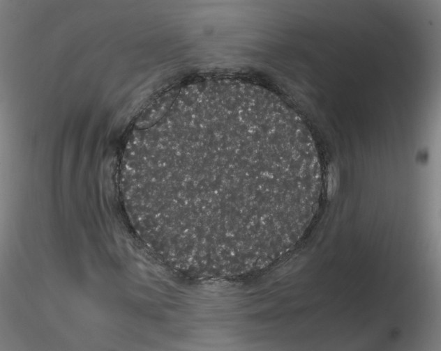 X0000116121059201001040946