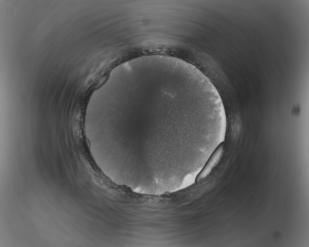 X0000116121060201001040946