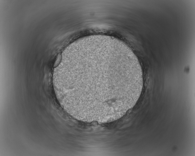 X0000116121061201001040946
