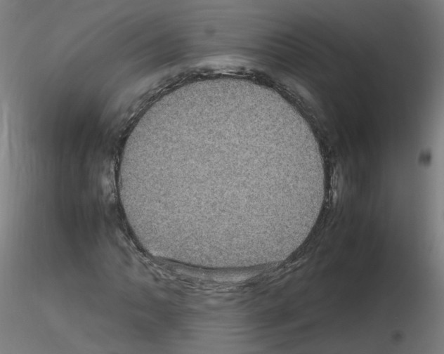 X0000116121062201001040945