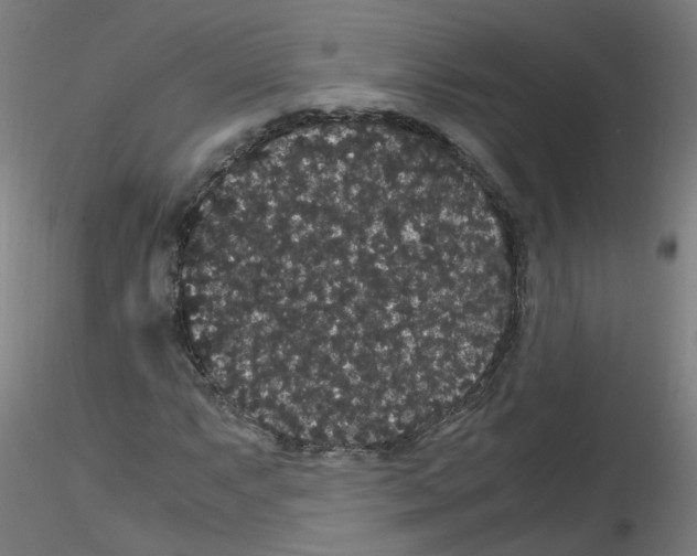 X0000116121063201001040945