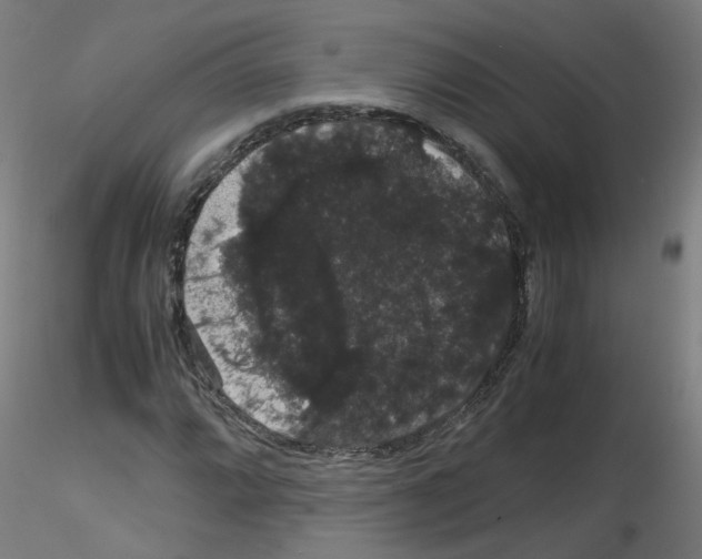 X0000116121064201001040945