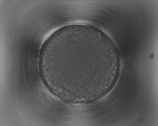 X0000116121066201001040945