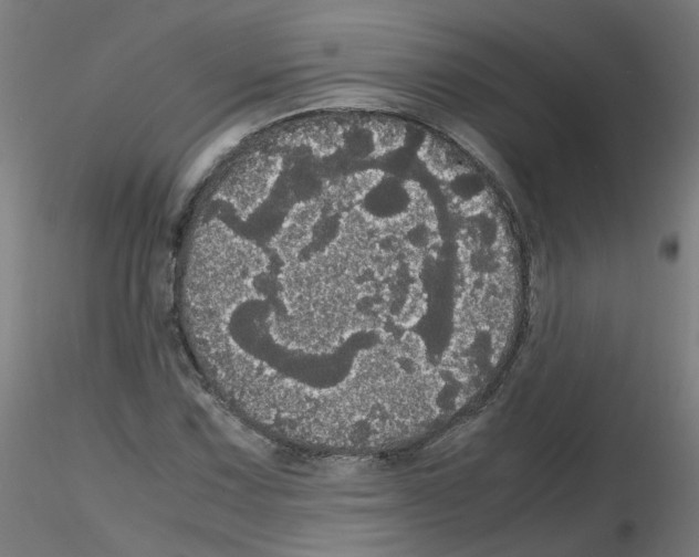 X0000116121067201001040945