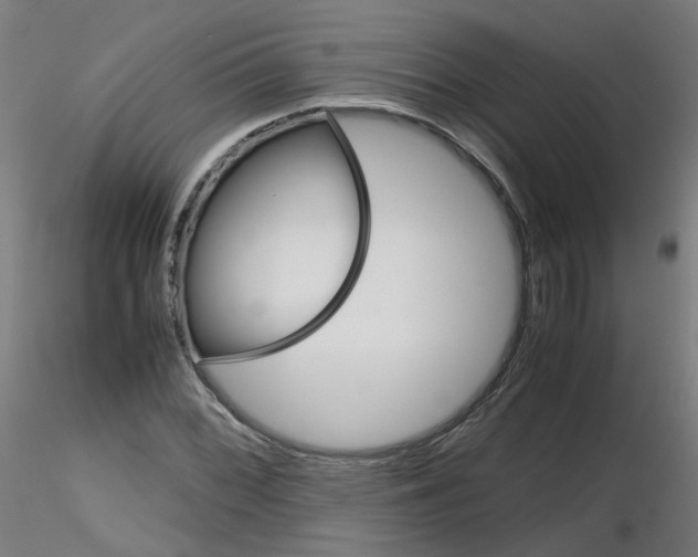 X0000116121068201001040945