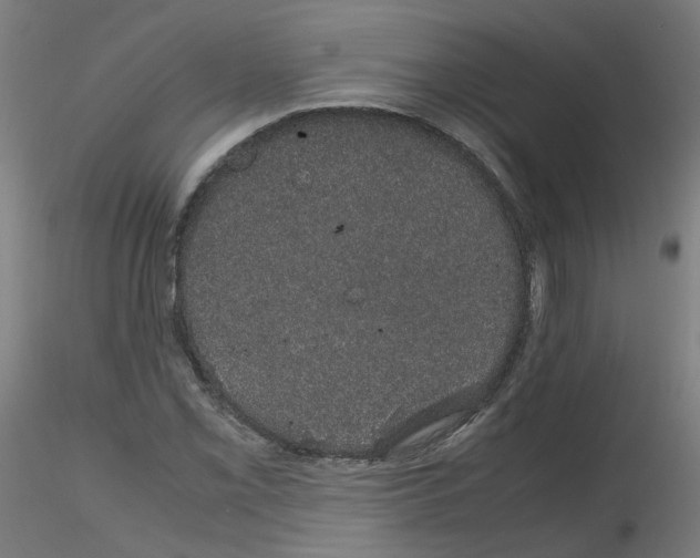 X0000116121069201001040945