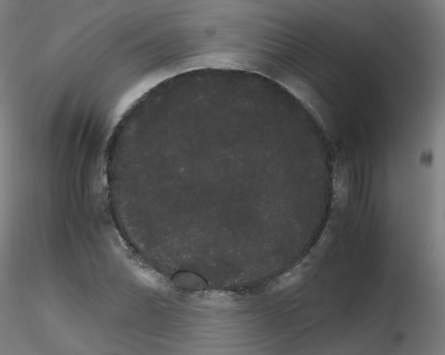 X0000116121070201001040945