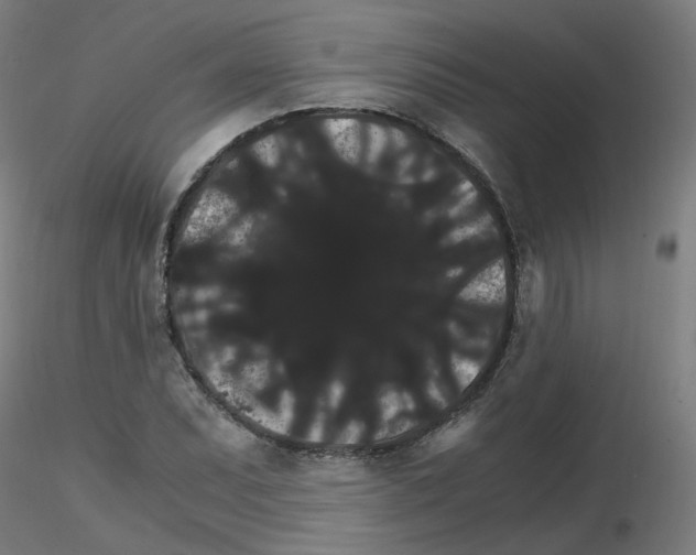 X0000116121071201001040945