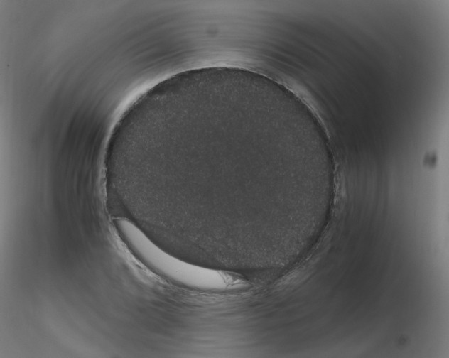 X0000116121072201001040945