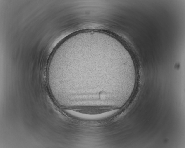 X0000116121073201001040945