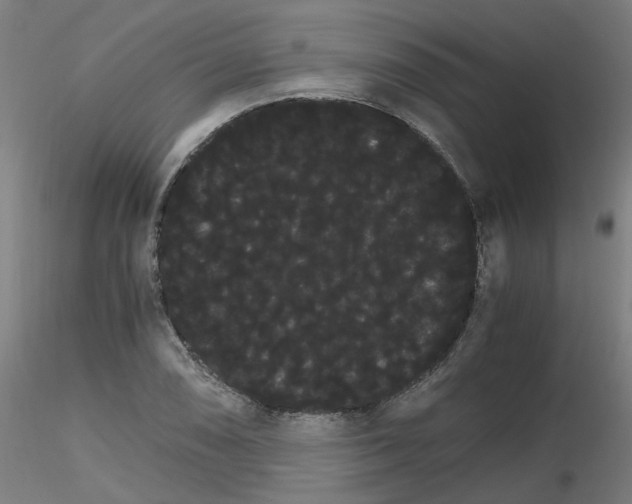 X0000116121074201001040945