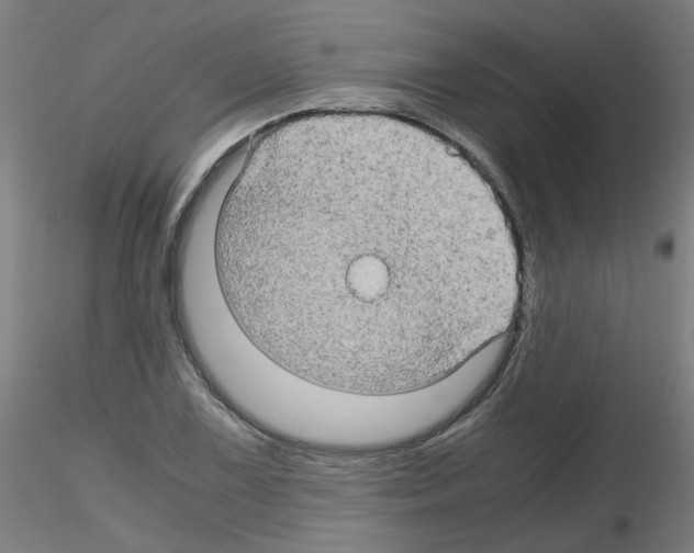 X0000116121075201001040945