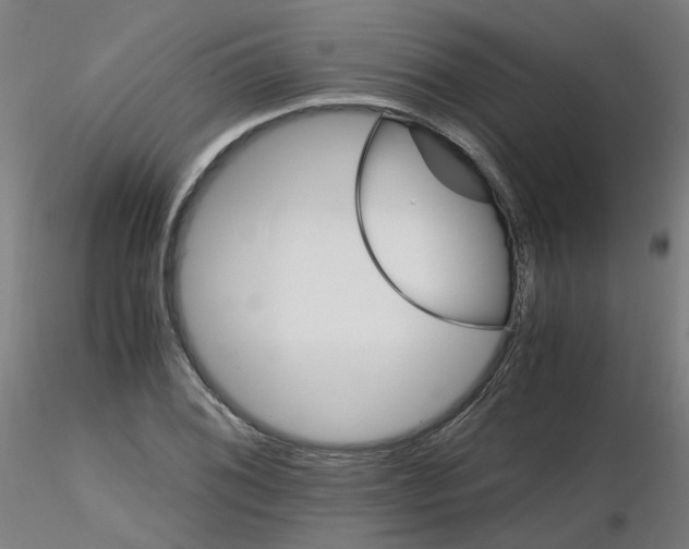 X0000116121076201001040945
