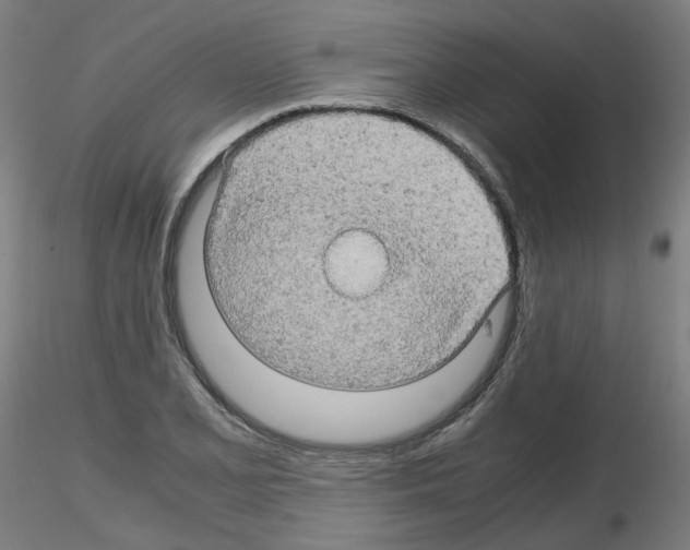 X0000116121077201001040945