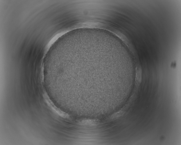 X0000116121078201001040945