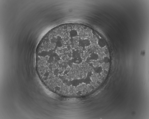X0000116121079201001040945