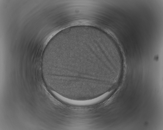 X0000116121081201001040945