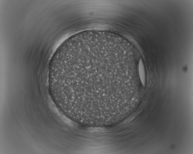 X0000116121083201001040945