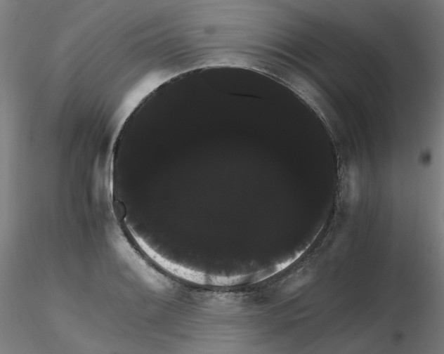 X0000116121084201001040945