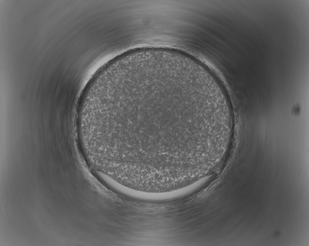 X0000116121085201001040945
